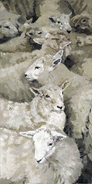 Llansilin Lambs